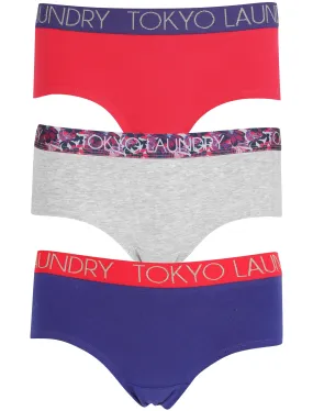 Aubrey (3 Pack) Assorted Briefs In Bright Rose/ Light Grey Marl / Blue - Tokyo Laundry