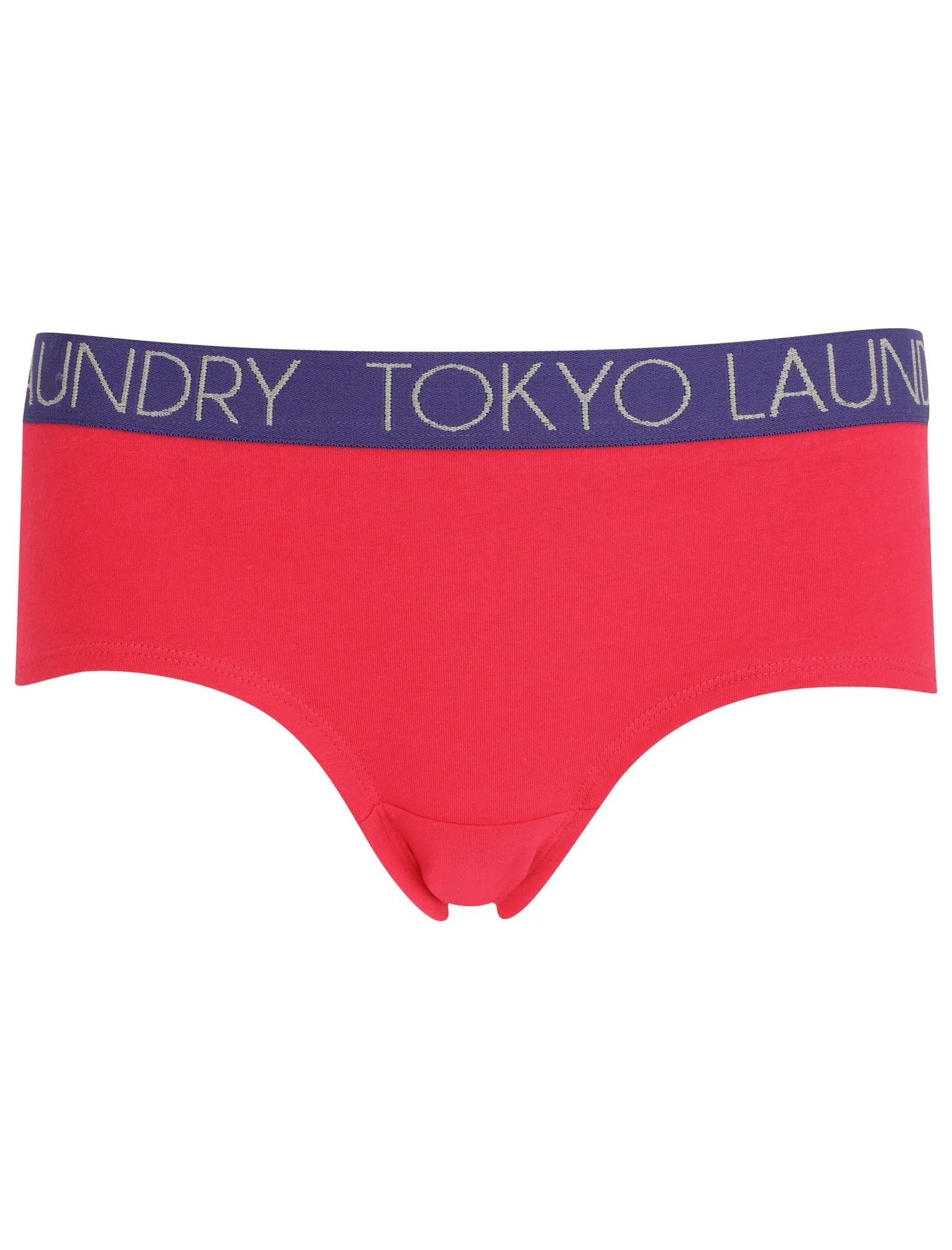 Aubrey (3 Pack) Assorted Briefs In Bright Rose/ Light Grey Marl / Blue - Tokyo Laundry