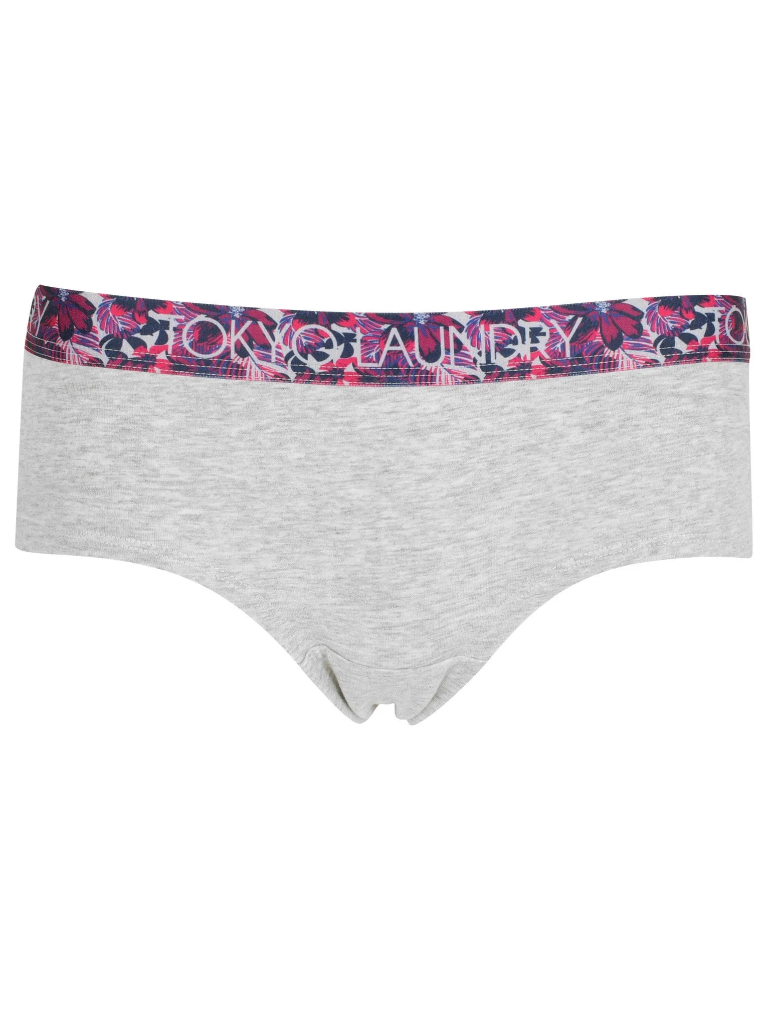 Aubrey (3 Pack) Assorted Briefs In Bright Rose/ Light Grey Marl / Blue - Tokyo Laundry