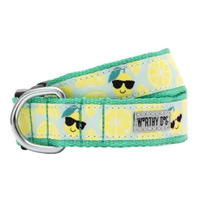 Collar | Sunny Lemons