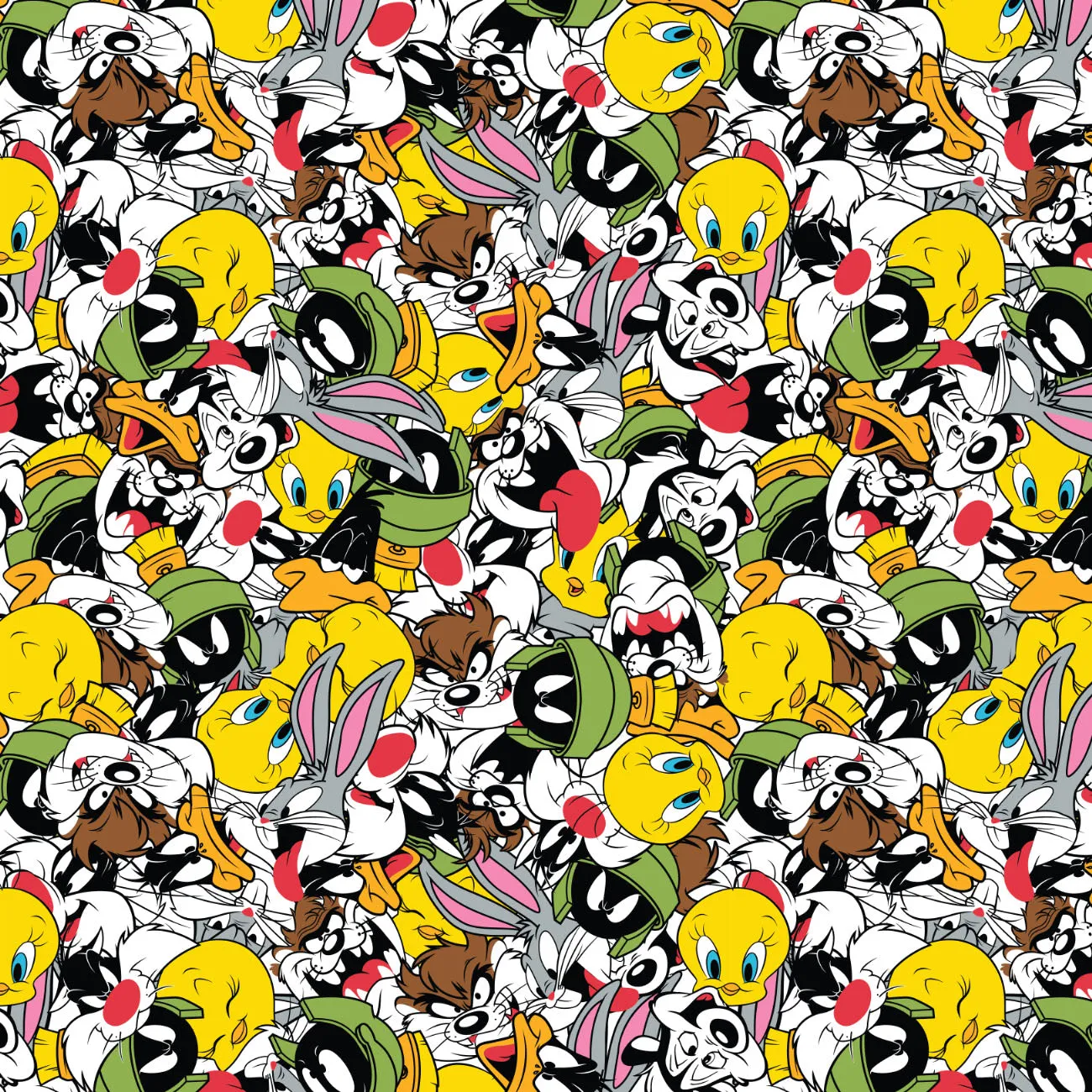 Looney Tunes - Party - Minky Print