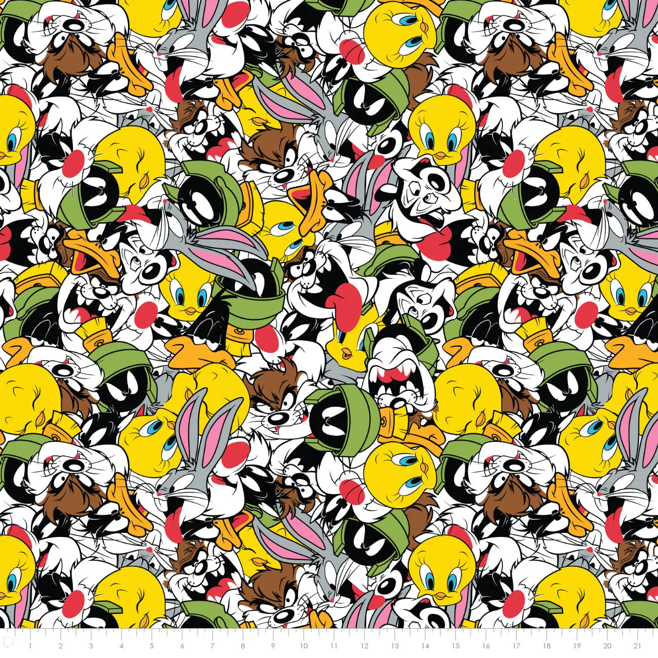 Looney Tunes - Party - Minky Print