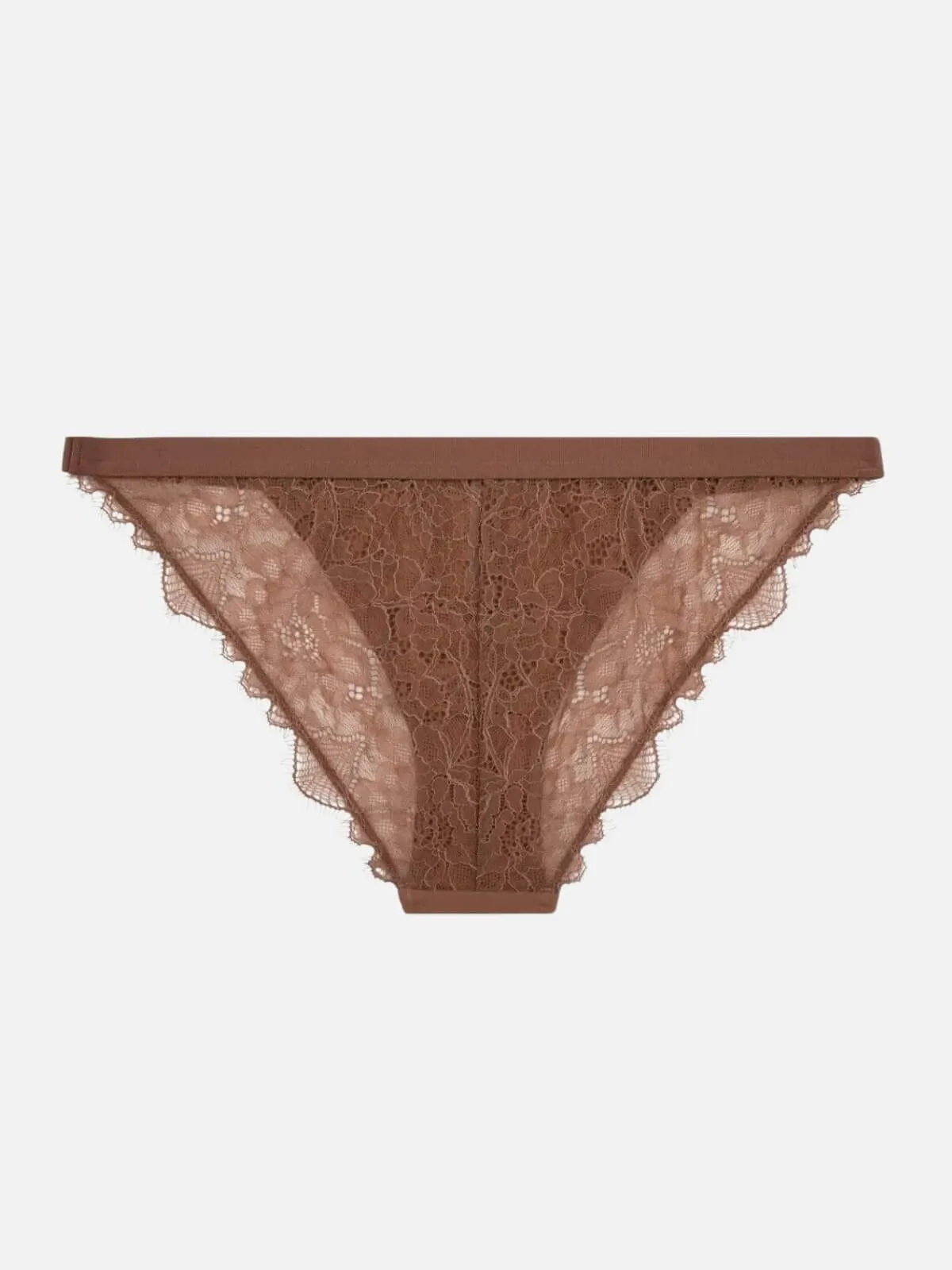 Wild Rose - Medium Brown